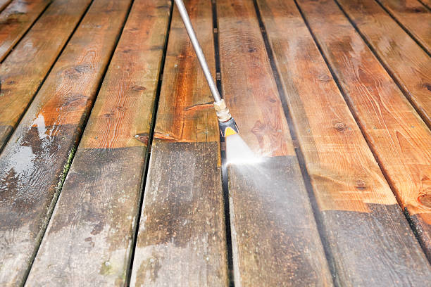 Best Fence Cleaning  in Chesnut Hill, PA